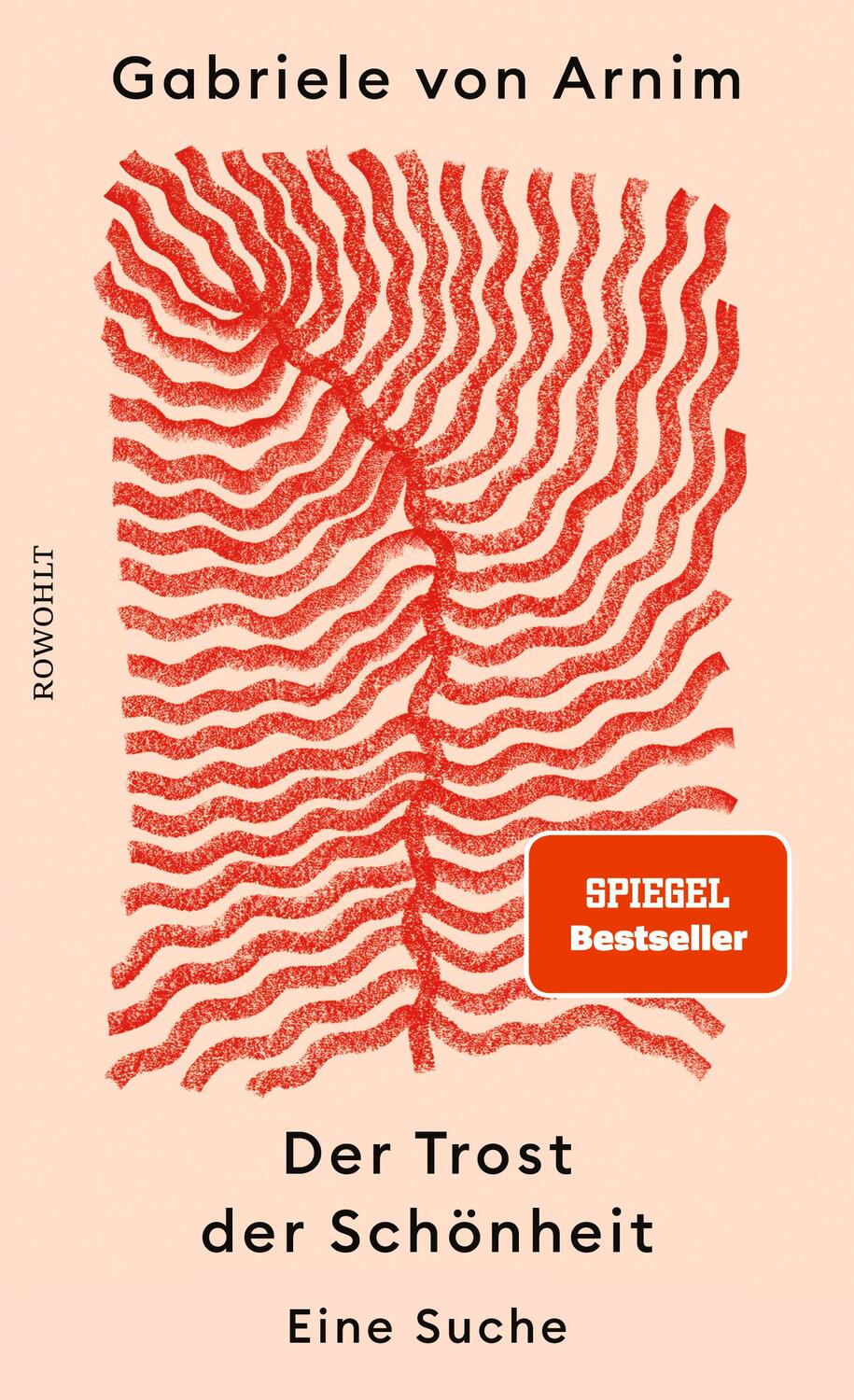 Cover: 9783498003517 | Der Trost der Schönheit | Eine Suche | Gabriele von Arnim | Buch