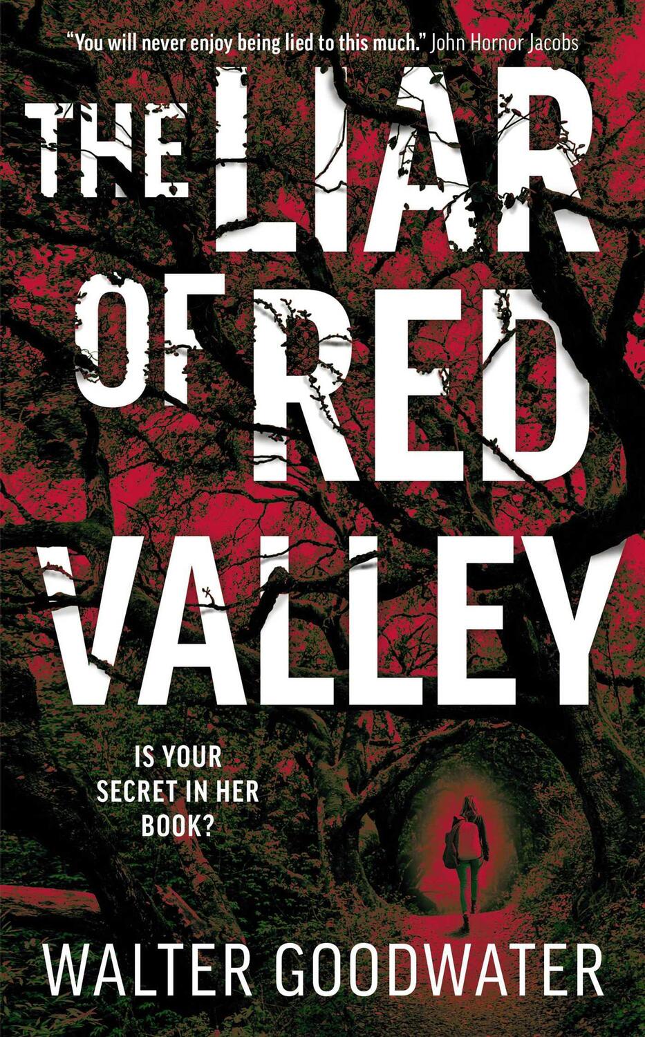 Cover: 9781781089118 | The Liar of Red Valley | Walter Goodwater | Buch | Gebunden | Englisch