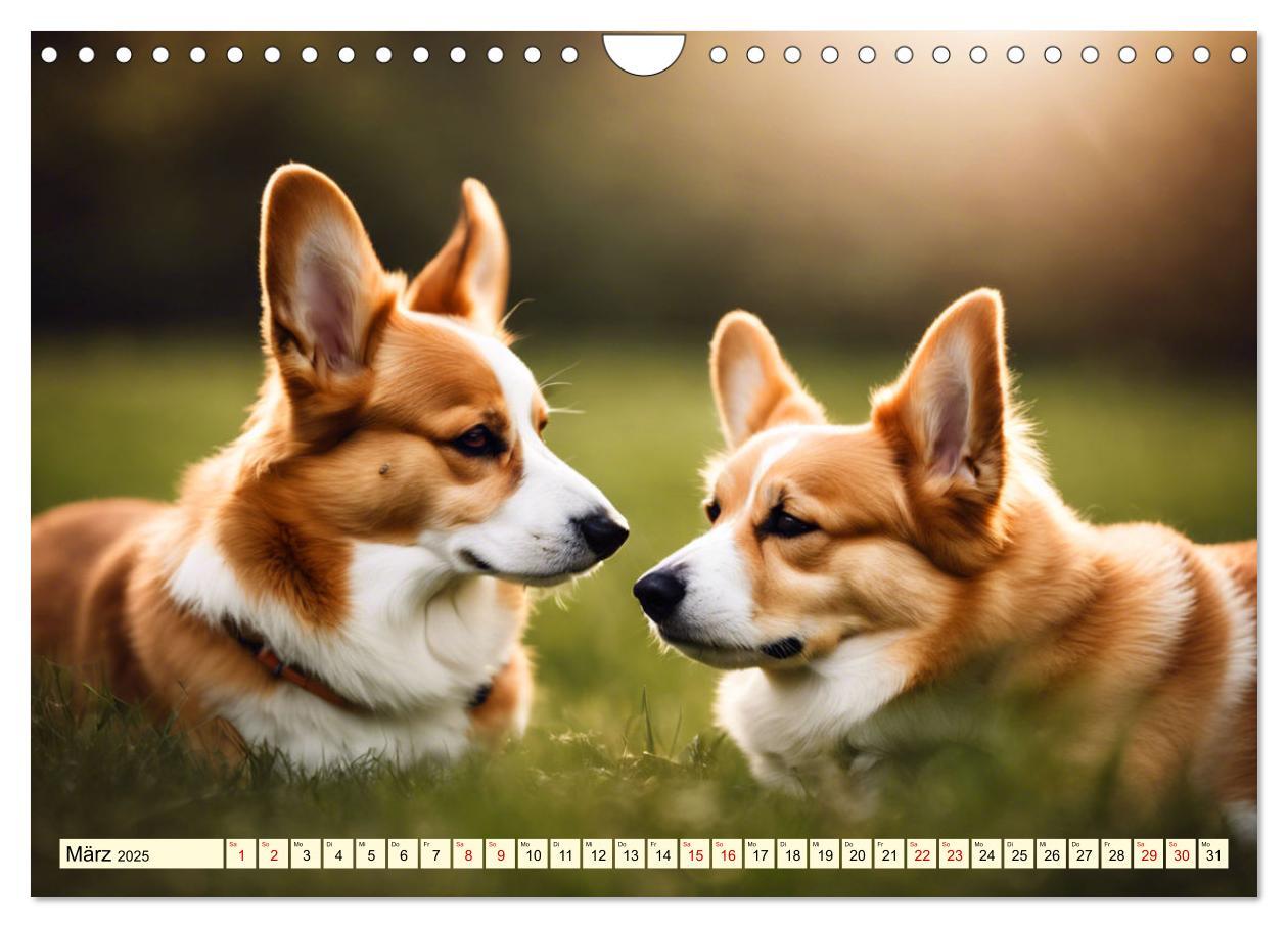 Bild: 9783435241026 | Welsh Corgi Pembroke (Wandkalender 2025 DIN A4 quer), CALVENDO...