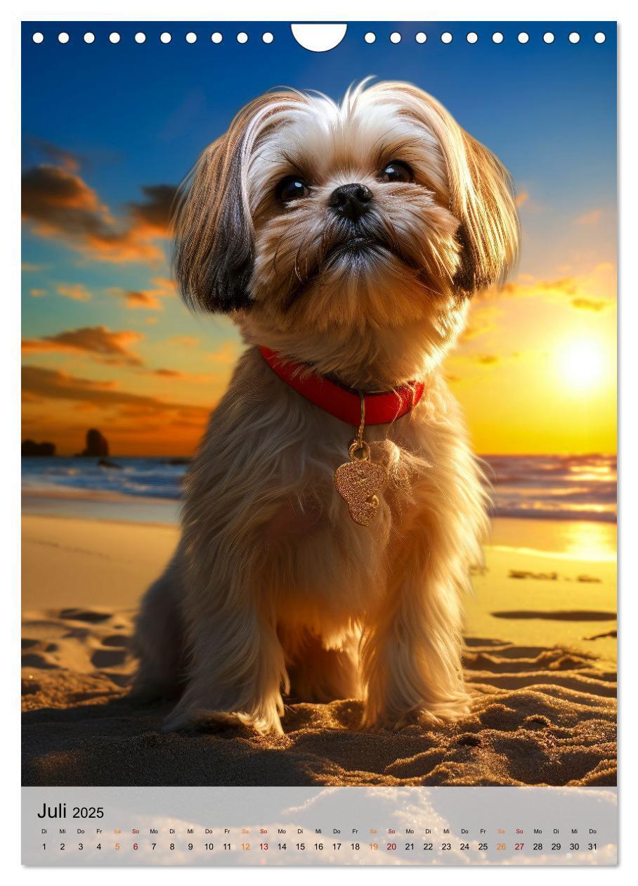 Bild: 9783383765315 | Shih Tzu - immer im Mittelpunkt (Wandkalender 2025 DIN A4 hoch),...