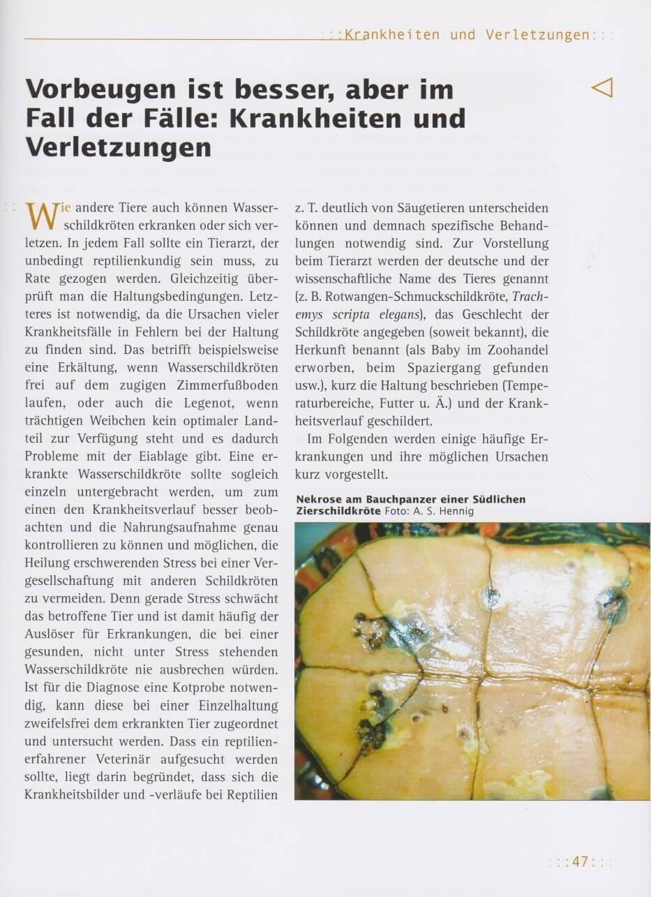 Bild: 9783931587956 | Haltung von Wasserschildkröten | Andreas S. Hennig | Taschenbuch