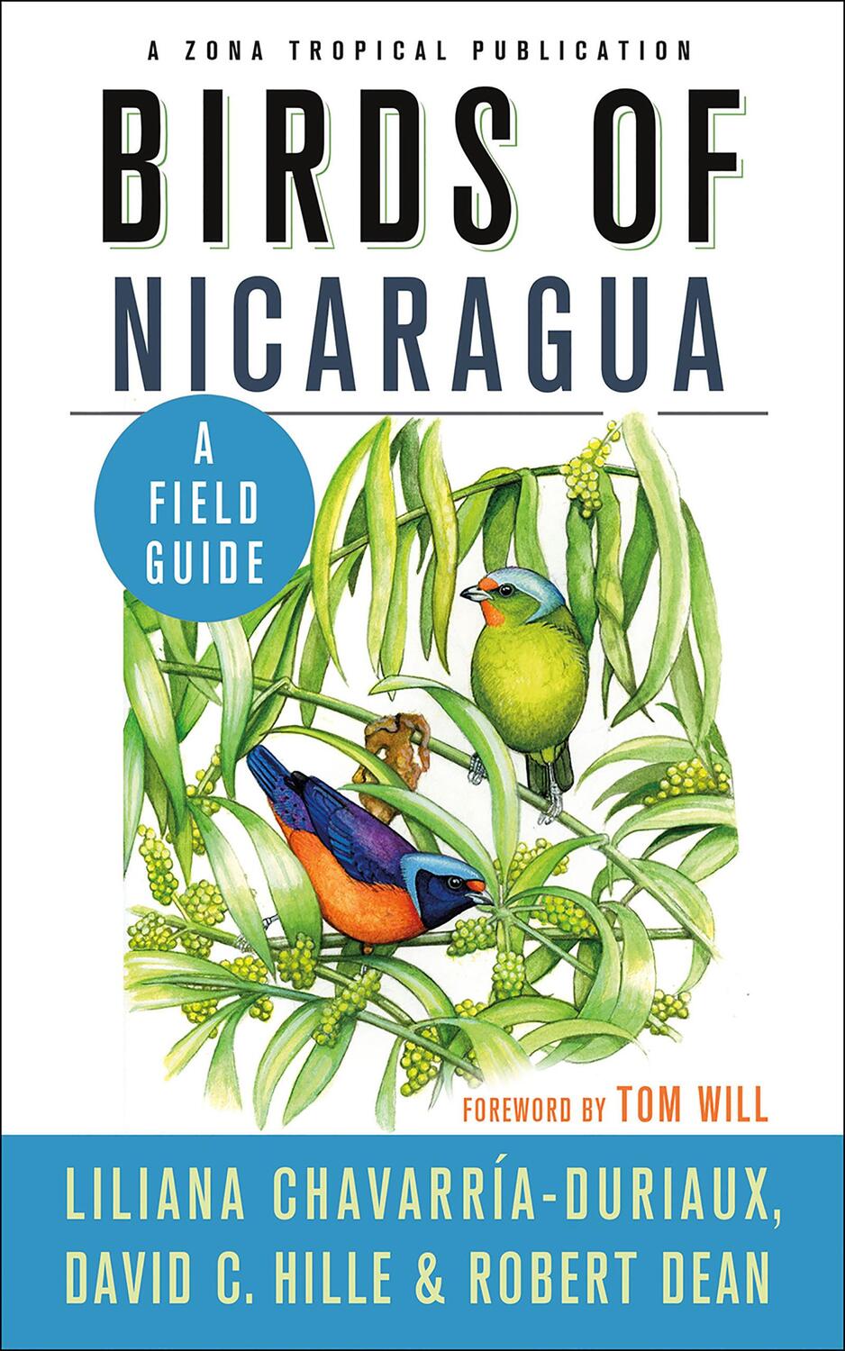 Cover: 9781501701580 | Birds of Nicaragua | A Field Guide | Liliana Chavarría-Duriaux (u. a.)