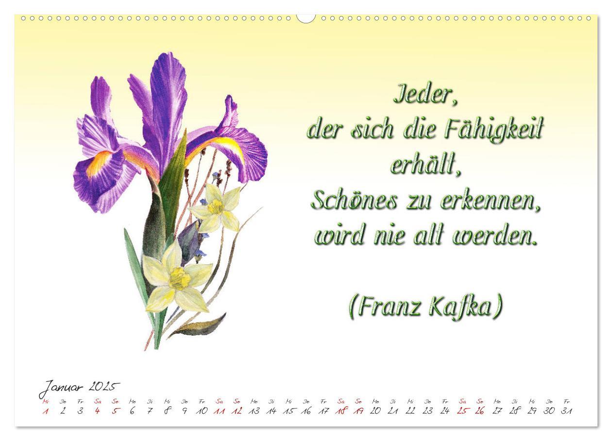 Bild: 9783435397990 | 12 unterhaltsame Zitate für ein schönes Jahr (Wandkalender 2025 DIN...