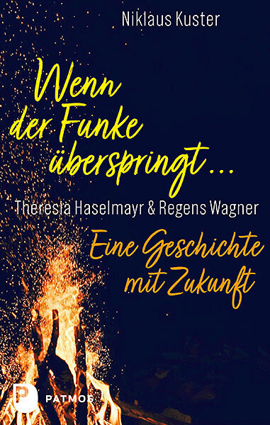 Cover: 9783843613392 | Wenn der Funke überspringt ... | Niklaus Kuster | Buch | 200 S. | 2021