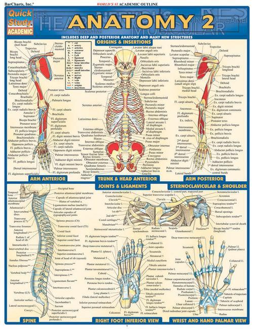 Cover: 9781572228566 | Anatomy 2 - Reference Guide | Vincent Perez | Stück | Englisch | 2004