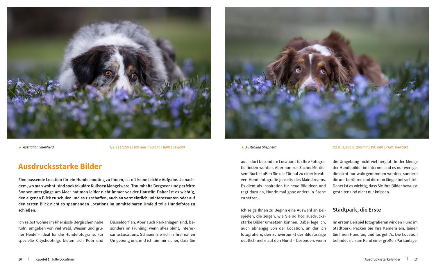 Bild: 9783832804909 | Hunde fotografieren - Kreative Bilder mit "Wau-Effekt" | Heuser Regine