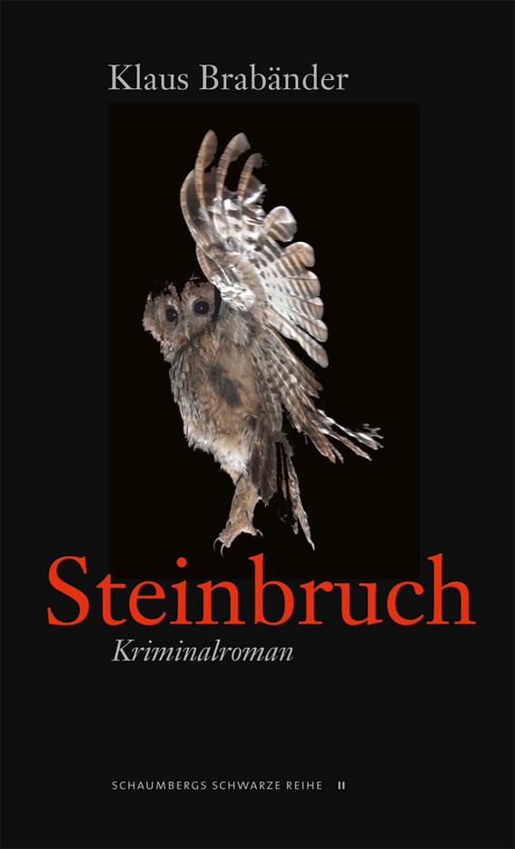 Cover: 9783941095298 | Steinbruch | Klaus Brabänder | Taschenbuch | 416 S. | Deutsch | 2015