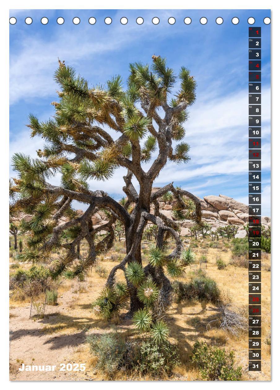 Bild: 9783435961108 | Impressionen aus dem JOSHUA TREE NATIONAL PARK (Tischkalender 2025...