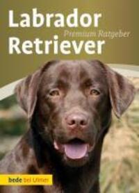 Cover: 9783800167302 | Labrador Retriever | Annette Schmitt | Buch | bede bei Ulmer | Deutsch