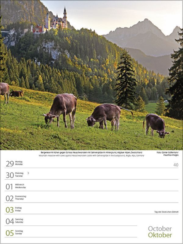 Bild: 9783731877202 | Zauber der Alpen 2025 | Korsch Verlag | Kalender | Spiralbindung