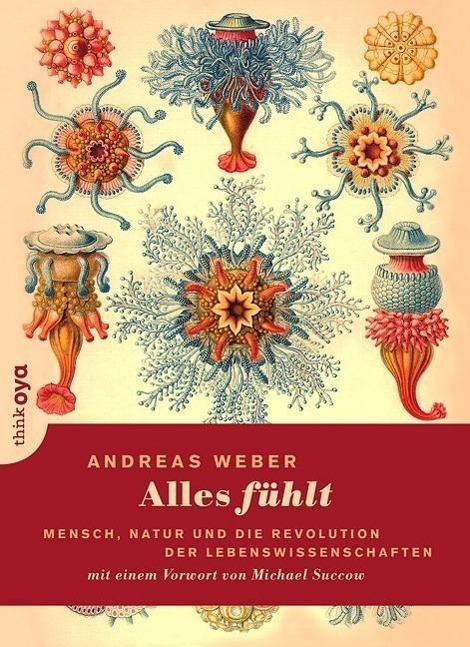Cover: 9783927369863 | Alles fühlt | Andreas Weber | Taschenbuch | 272 S. | Deutsch | 2014