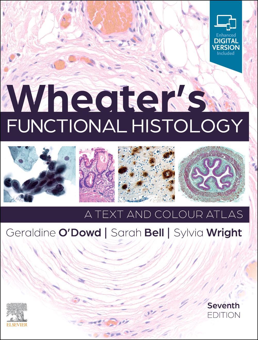 Cover: 9780702083341 | Wheater's Functional Histology | Sylvia Wright (u. a.) | Taschenbuch
