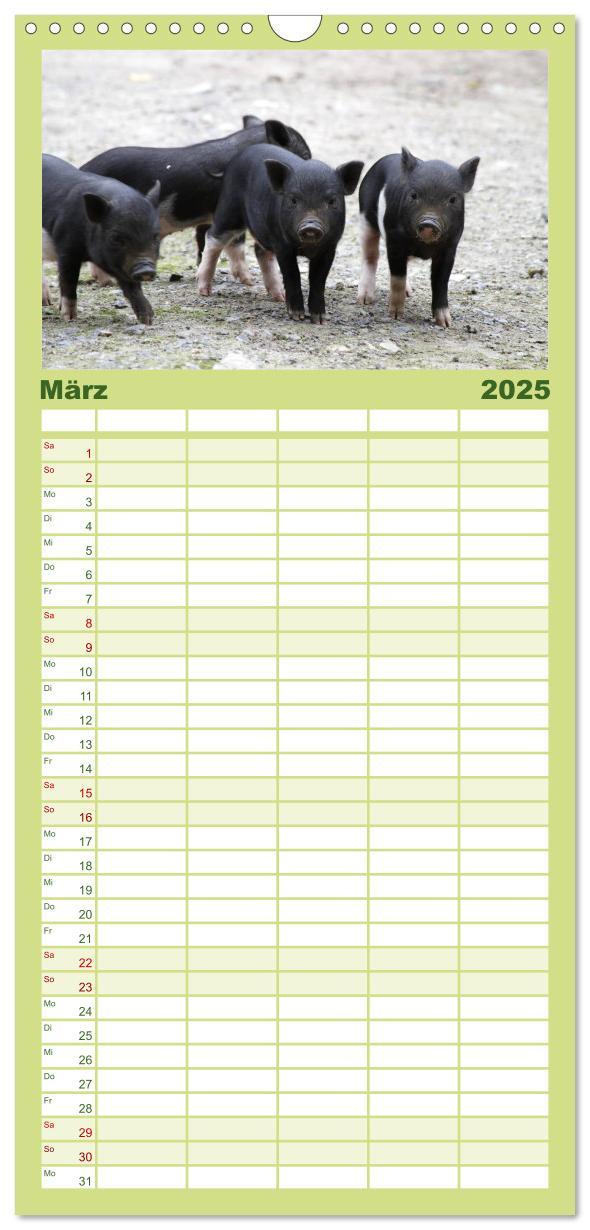 Bild: 9783457124741 | Familienplaner 2025 - Schwein gehabt! mit 5 Spalten (Wandkalender,...