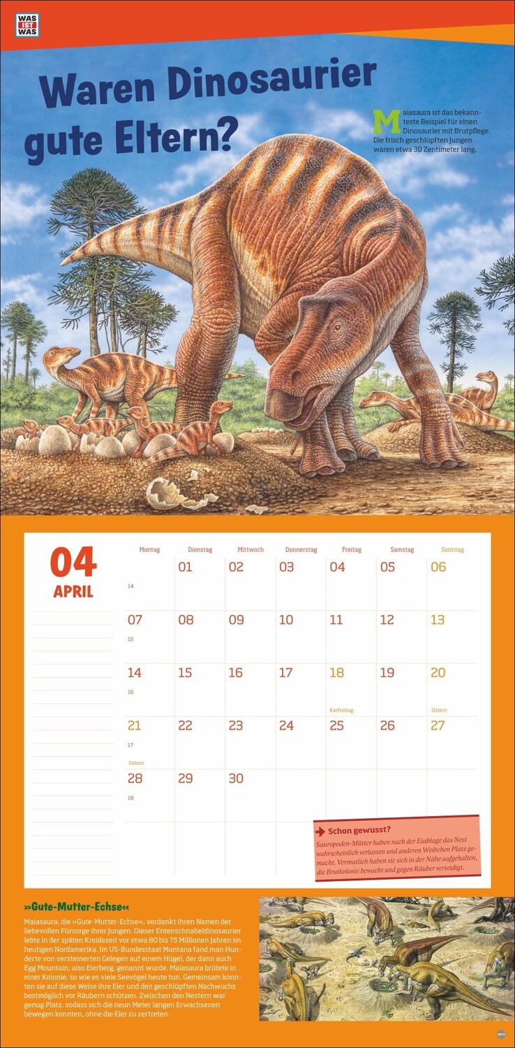 Bild: 9783756408412 | WAS IST WAS Dinosaurier Broschurkalender 2025 | Kalender | 28 S.