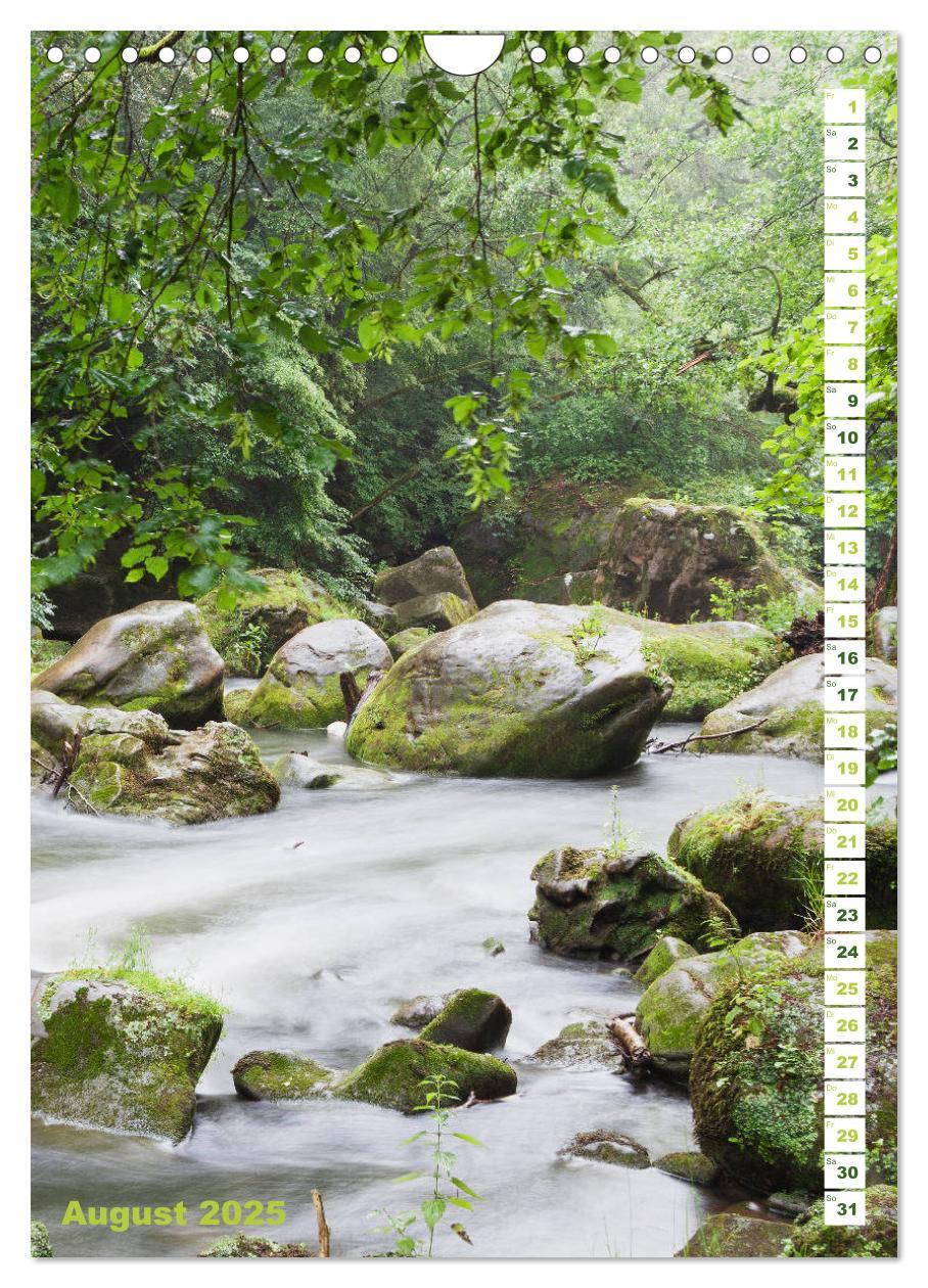 Bild: 9783435945481 | EIFEL - Kraftorte Wald und Wasser (Wandkalender 2025 DIN A4 hoch),...