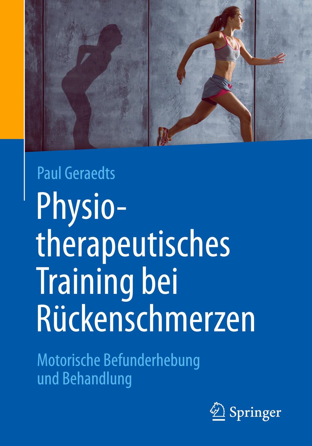 Cover: 9783662560853 | Physiotherapeutisches Training bei Rückenschmerzen | Paul Geraedts
