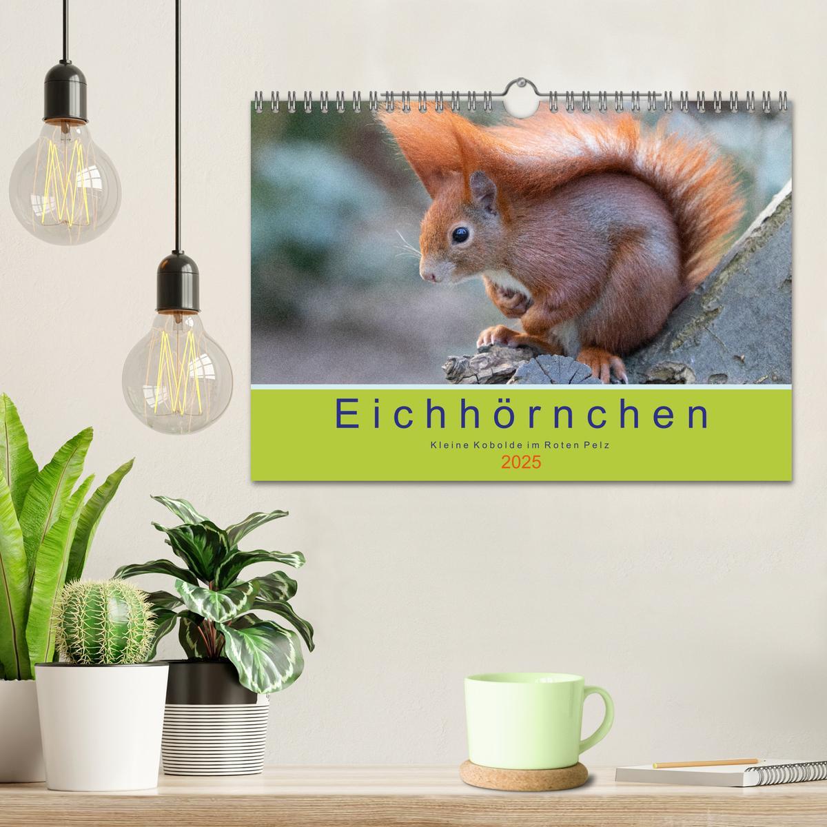 Bild: 9783435584390 | Eichhörnchen - Kleine Kobolde im Roten Pelz (Wandkalender 2025 DIN...