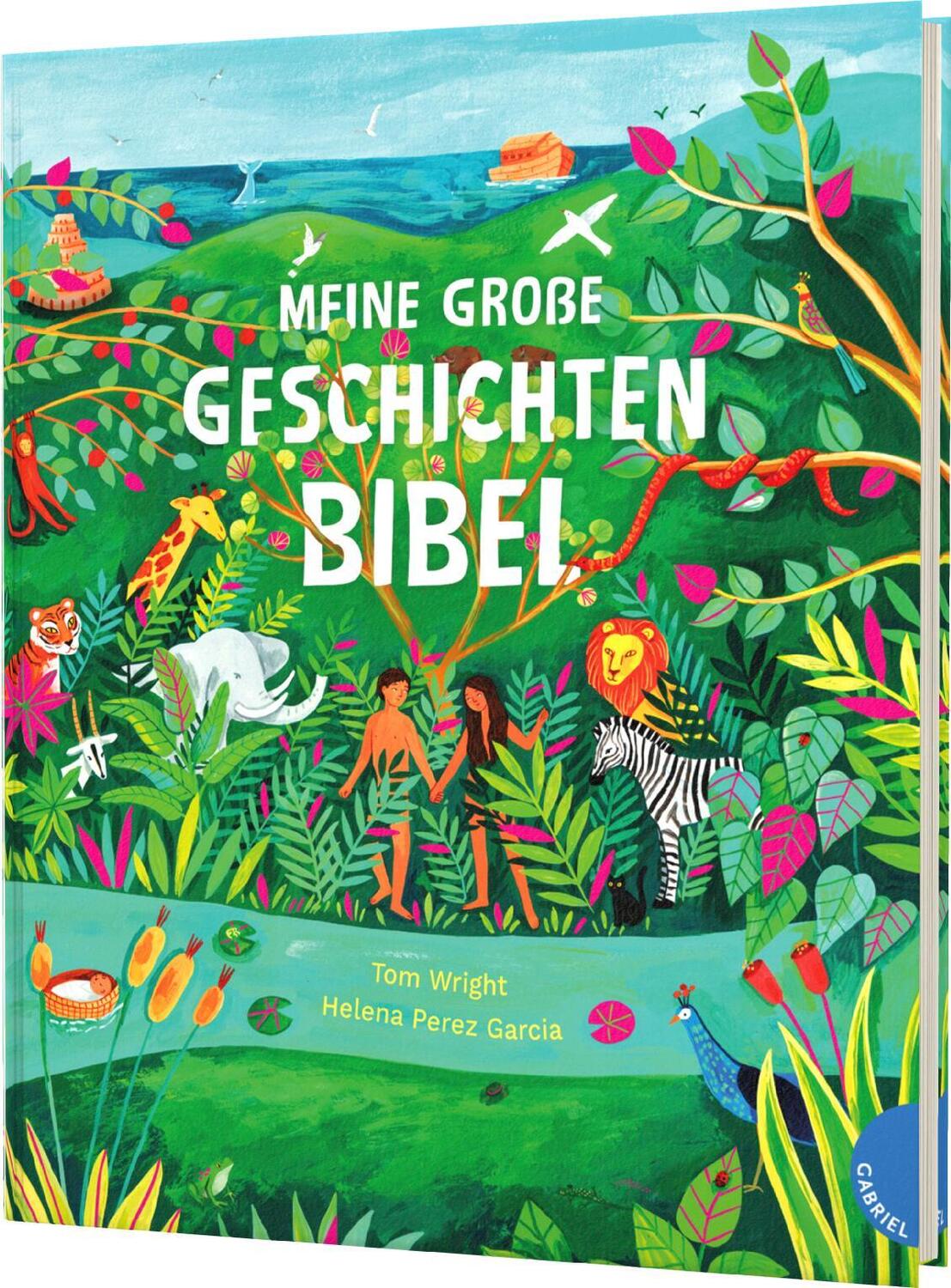 Cover: 9783522306553 | Meine große Geschichten-Bibel | Tom Wright | Buch | 290 S. | Deutsch