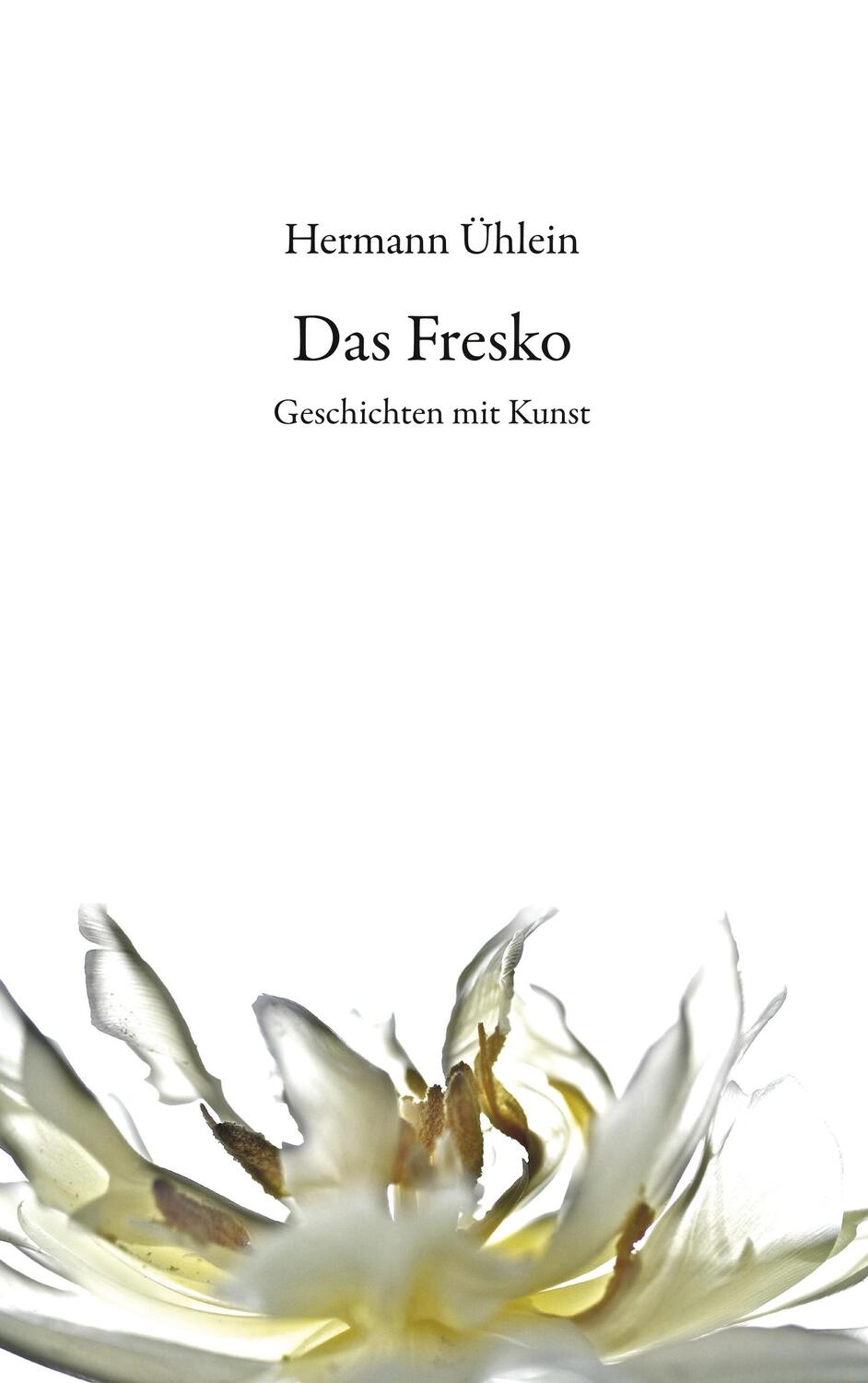 Cover: 9783740728373 | Das Fresko | Geschichten mit Kunst | Hermann Ühlein | Taschenbuch