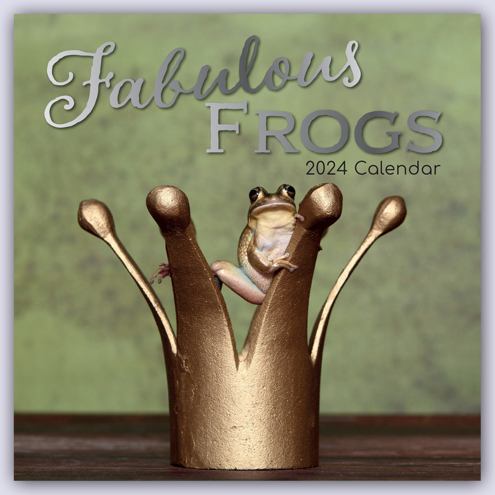 Cover: 9781804107270 | Fabulous Frogs - Fabelhafte Frösche 2024 - 16-Monatskalender | Ltd
