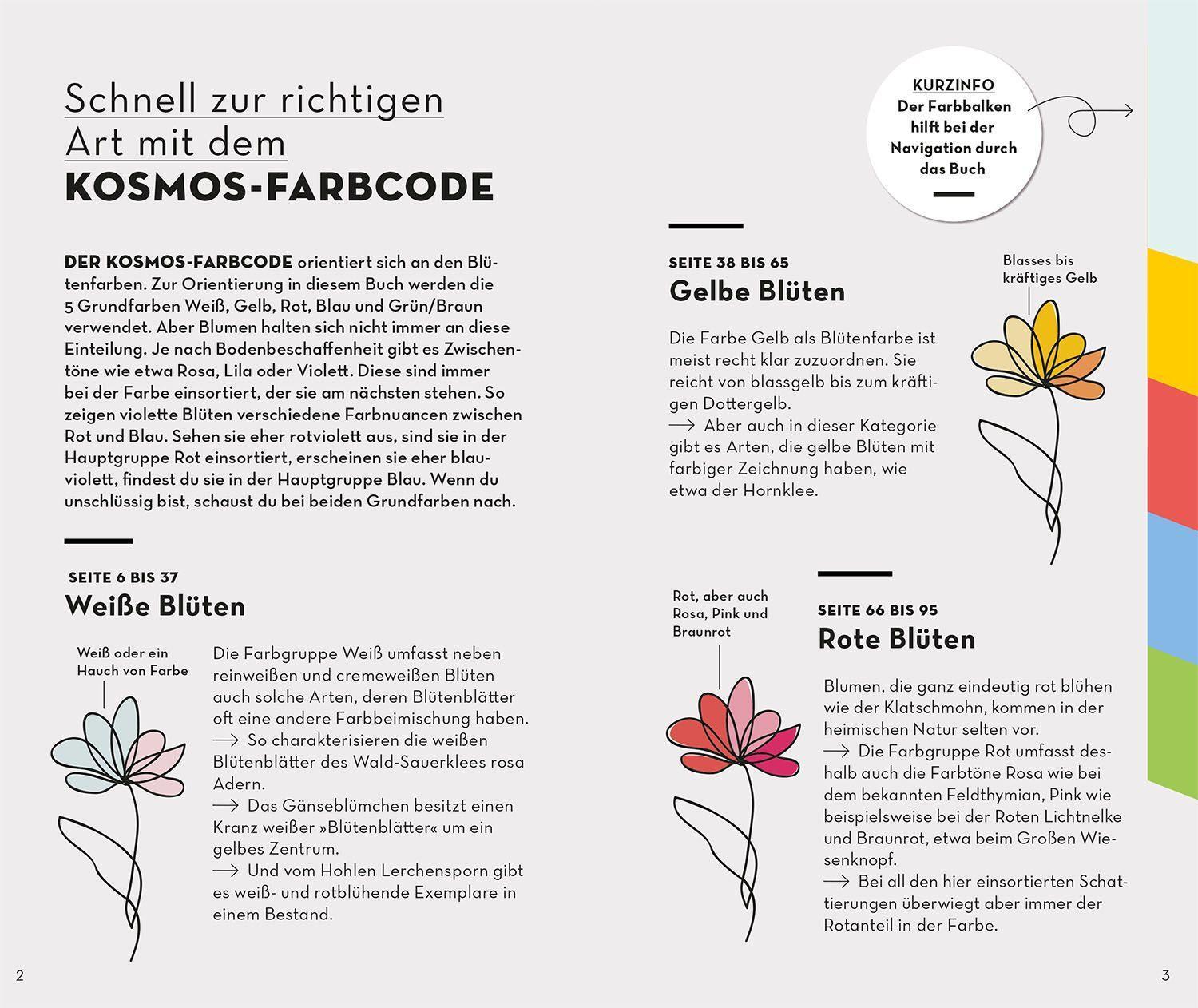 Bild: 9783440173893 | BASIC Blumen | Eva-Maria Dreyer | Taschenbuch | 128 S. | Deutsch