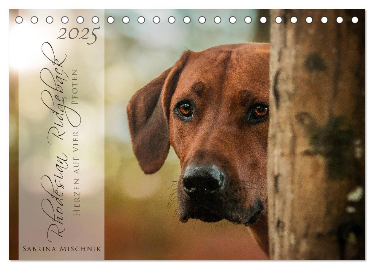 Cover: 9783435357253 | Rhodesian Ridgeback - Herzen auf vier Pfoten (Tischkalender 2025...