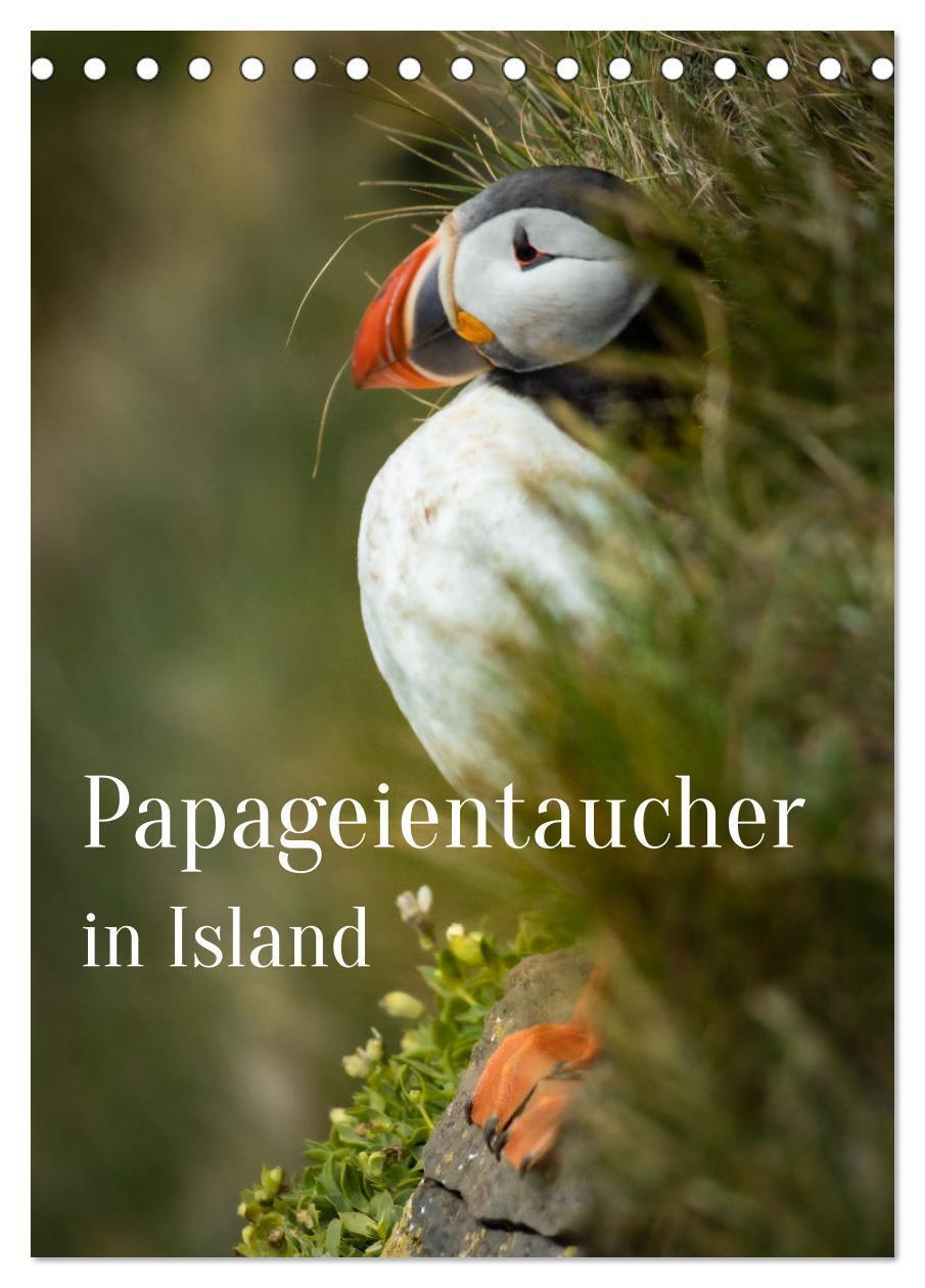 Cover: 9783435906314 | Papageientaucher in Island (Tischkalender 2025 DIN A5 hoch),...