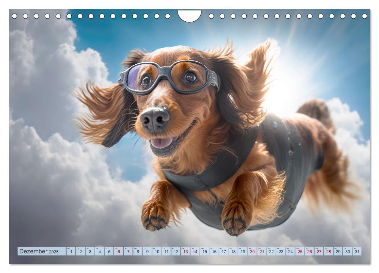 Bild: 9783383867149 | Hunde Skydiving (Wandkalender 2025 DIN A4 quer), CALVENDO...