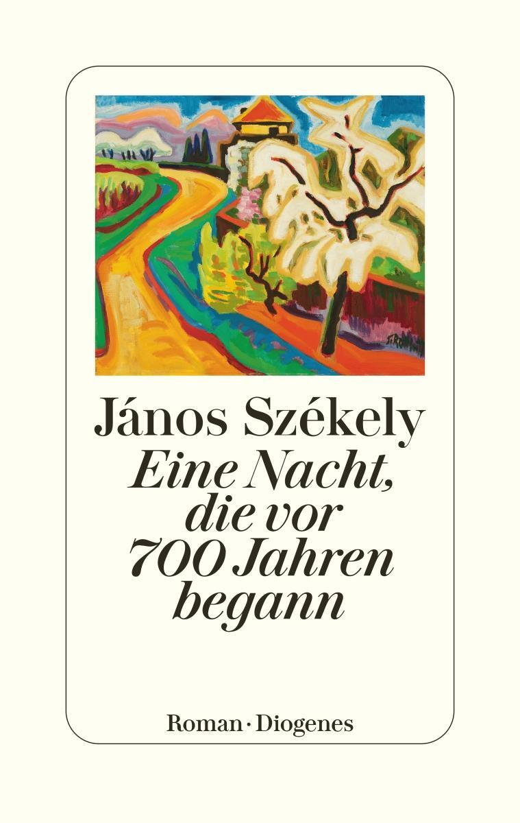 Cover: 9783257072365 | Eine Nacht, die vor 700 Jahren begann | János Székely | Buch | Deutsch