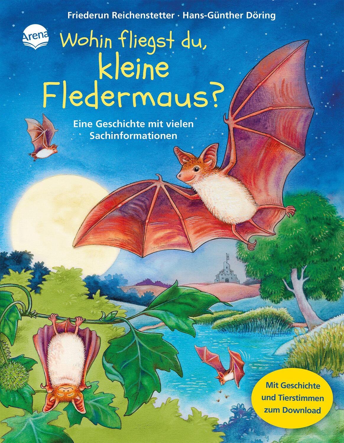 Cover: 9783401708256 | Wohin fliegst du, kleine Fledermaus? | Friederun Reichenstetter | Buch