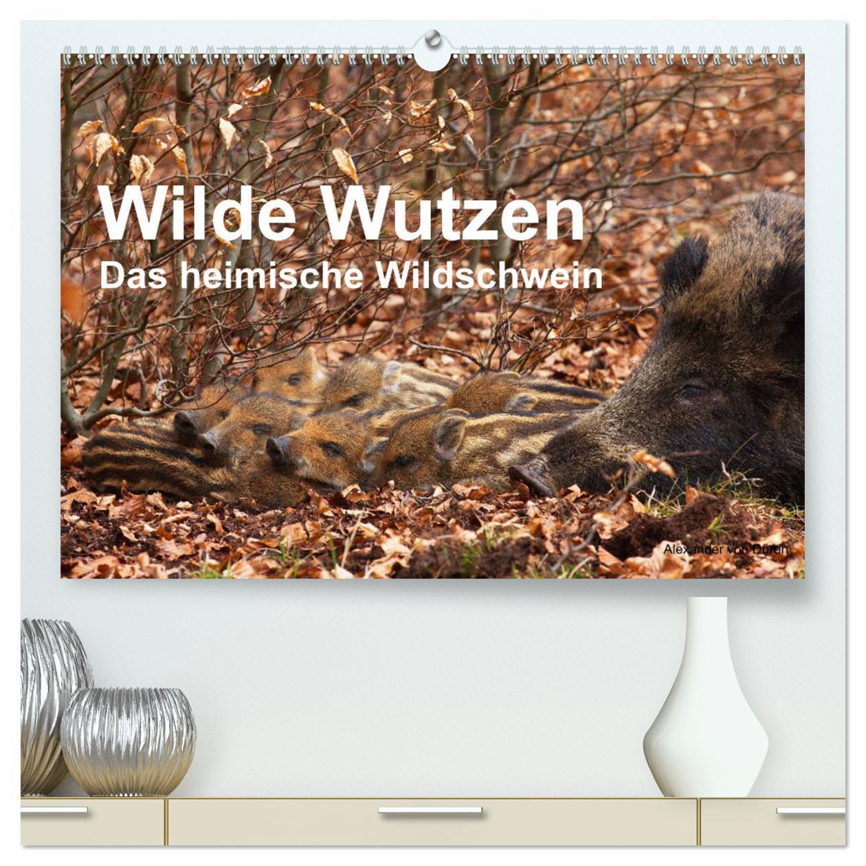 Cover: 9783675470040 | Wilde Wutzen. Das heimische Wildschwein (hochwertiger Premium...