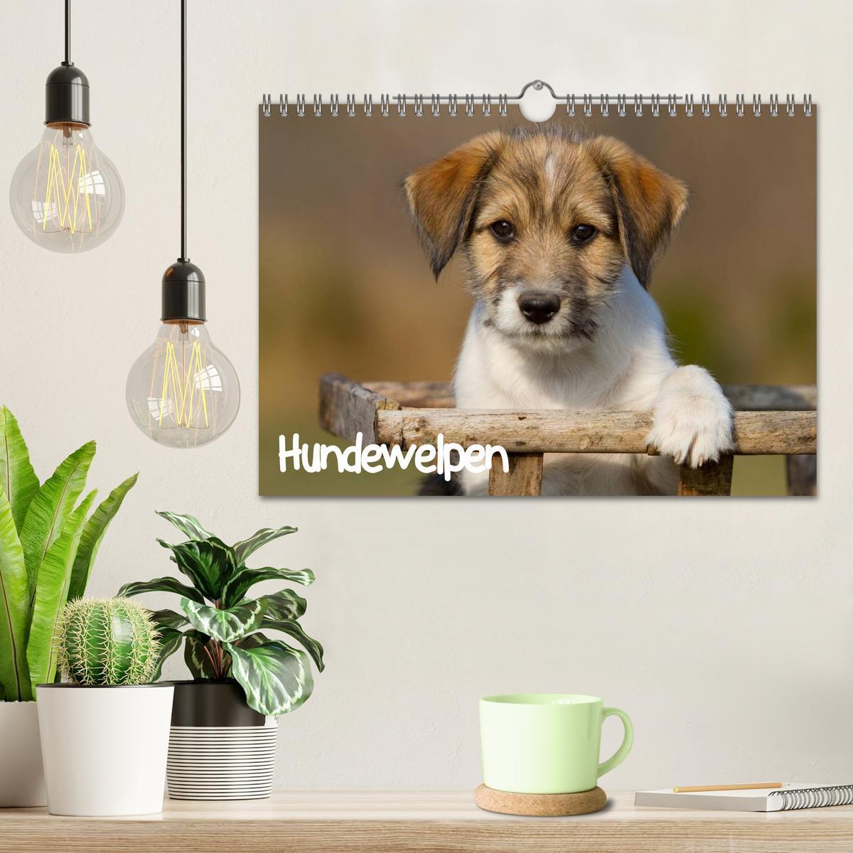 Bild: 9783435834389 | Hundewelpen (Wandkalender 2025 DIN A4 quer), CALVENDO Monatskalender