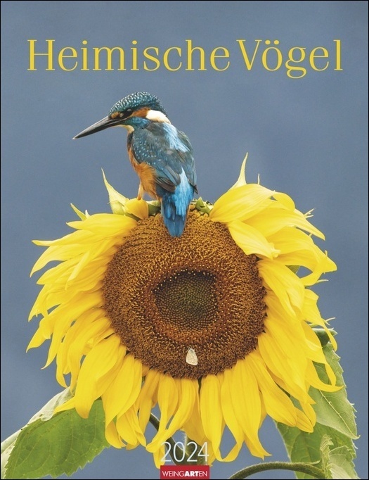 Cover: 9783840085628 | Heimische Vögel Kalender 2024. Wandkalender mit 12 Fotografien...