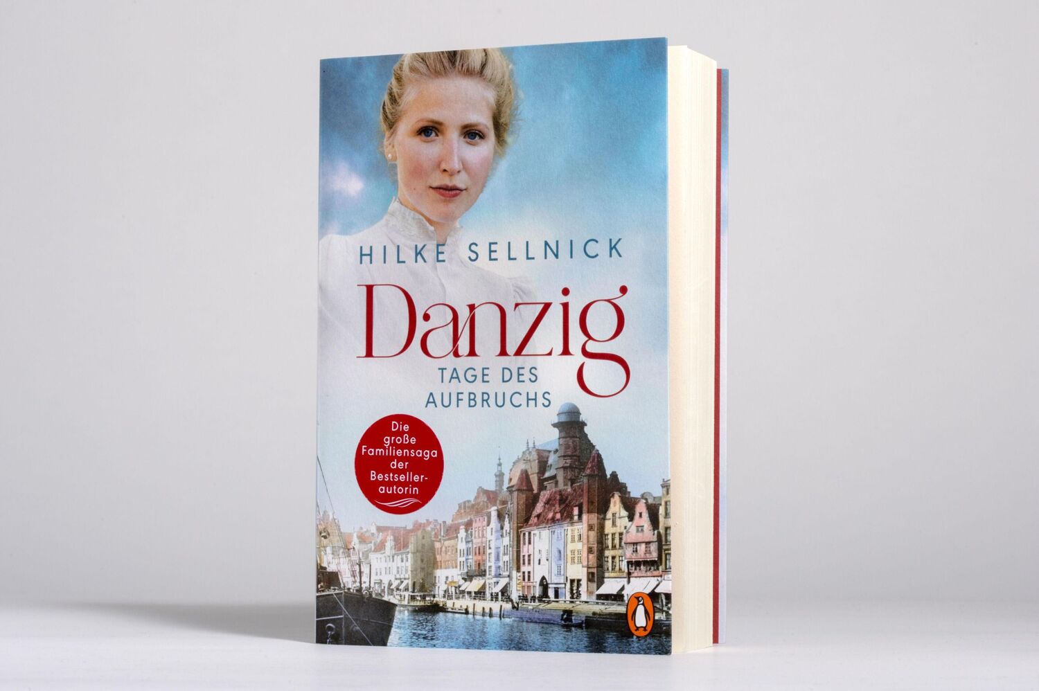 Bild: 9783328108726 | Danzig | Hilke Sellnick | Taschenbuch | 528 S. | Deutsch | 2023