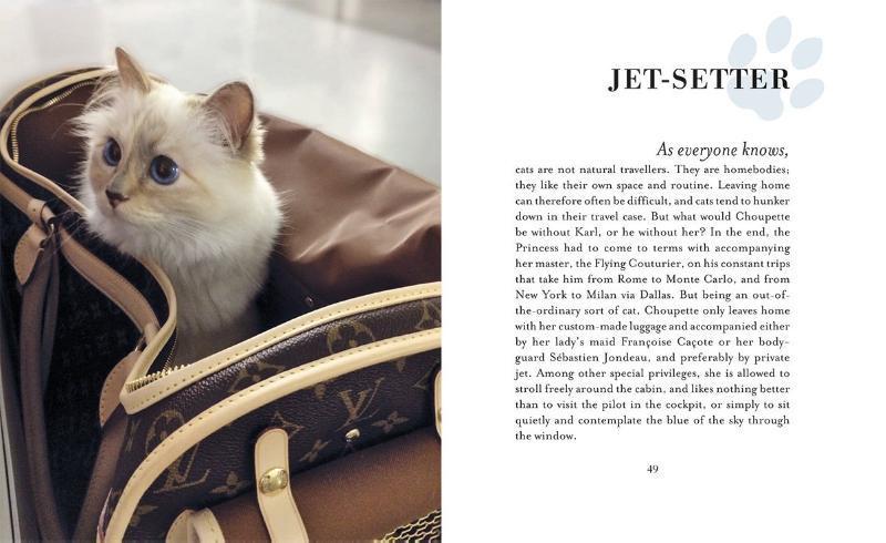 Rückseite: 9780500517741 | Choupette | The Private Life of a High-Flying Fashion Cat | Buch