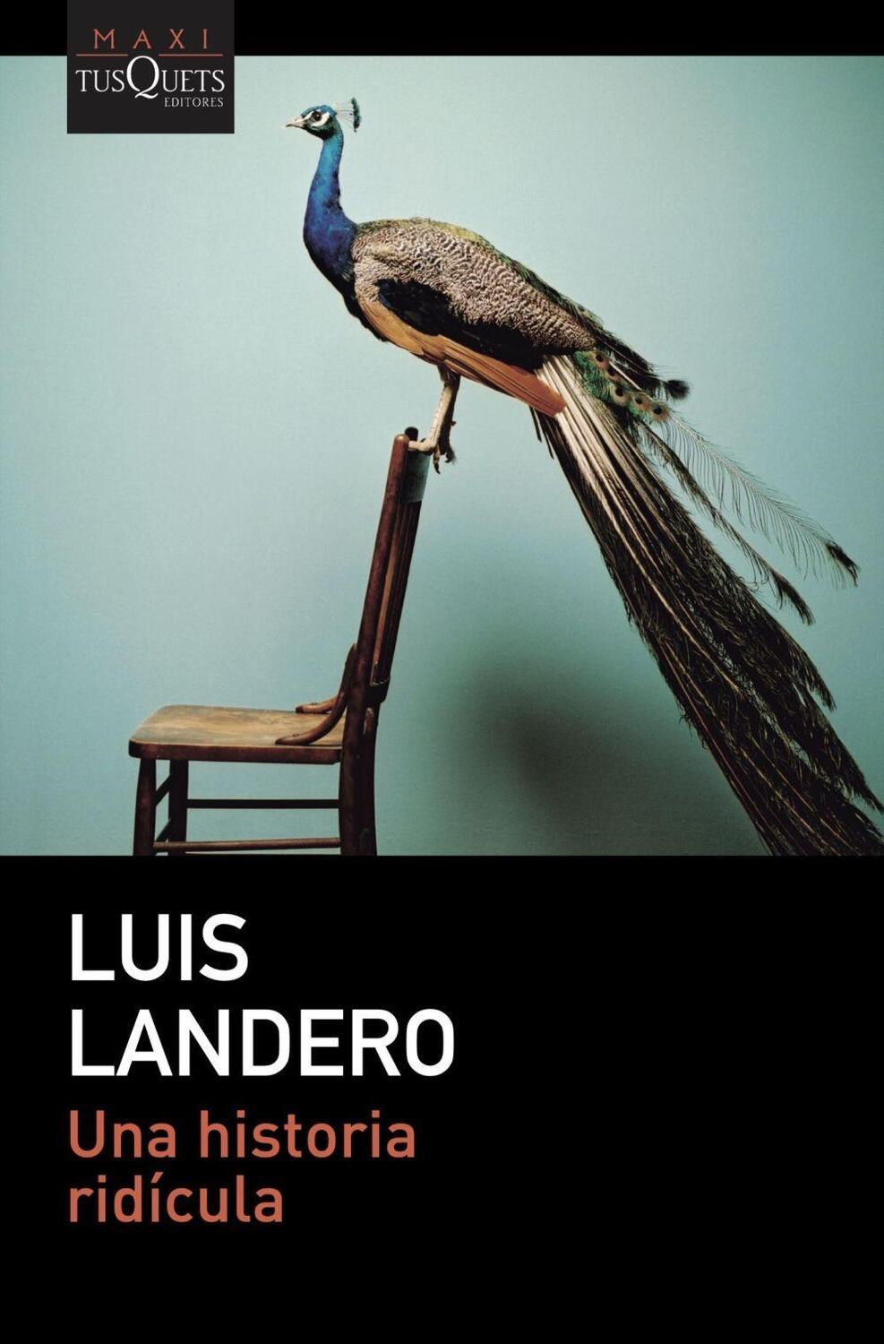 Cover: 9788411073288 | Una historia ridicula | Luis Landero | Taschenbuch | Spanisch | 2023