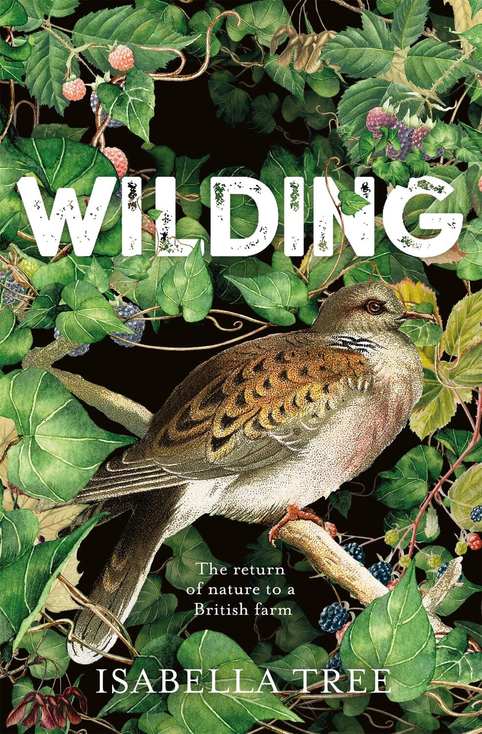 Cover: 9781509805099 | Wilding | The Return of Nature to a British Farm | Isabella Tree
