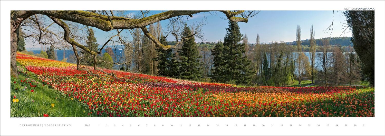 Bild: 9783898236263 | Der Bodensee | Holger Spiering | Kalender | XIV | Deutsch | 2024