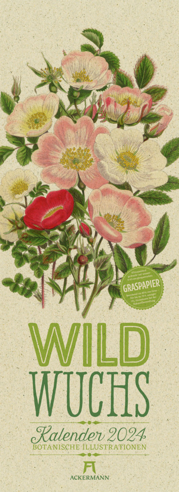Cover: 9783838424293 | Wildwuchs - Botanische Illustrationen - Graspapier-Kalender 2024