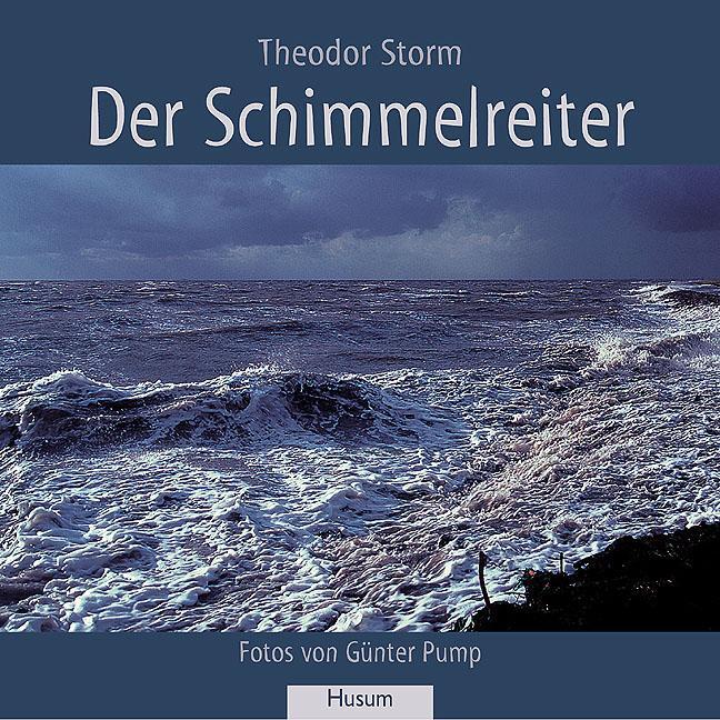 Cover: 9783898761444 | Der Schimmelreiter | Theodor Storm | Taschenbuch | 156 S. | Deutsch