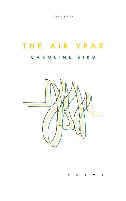 Cover: 9781784109028 | The Air Year | Caroline Bird | Taschenbuch | Englisch | 2020