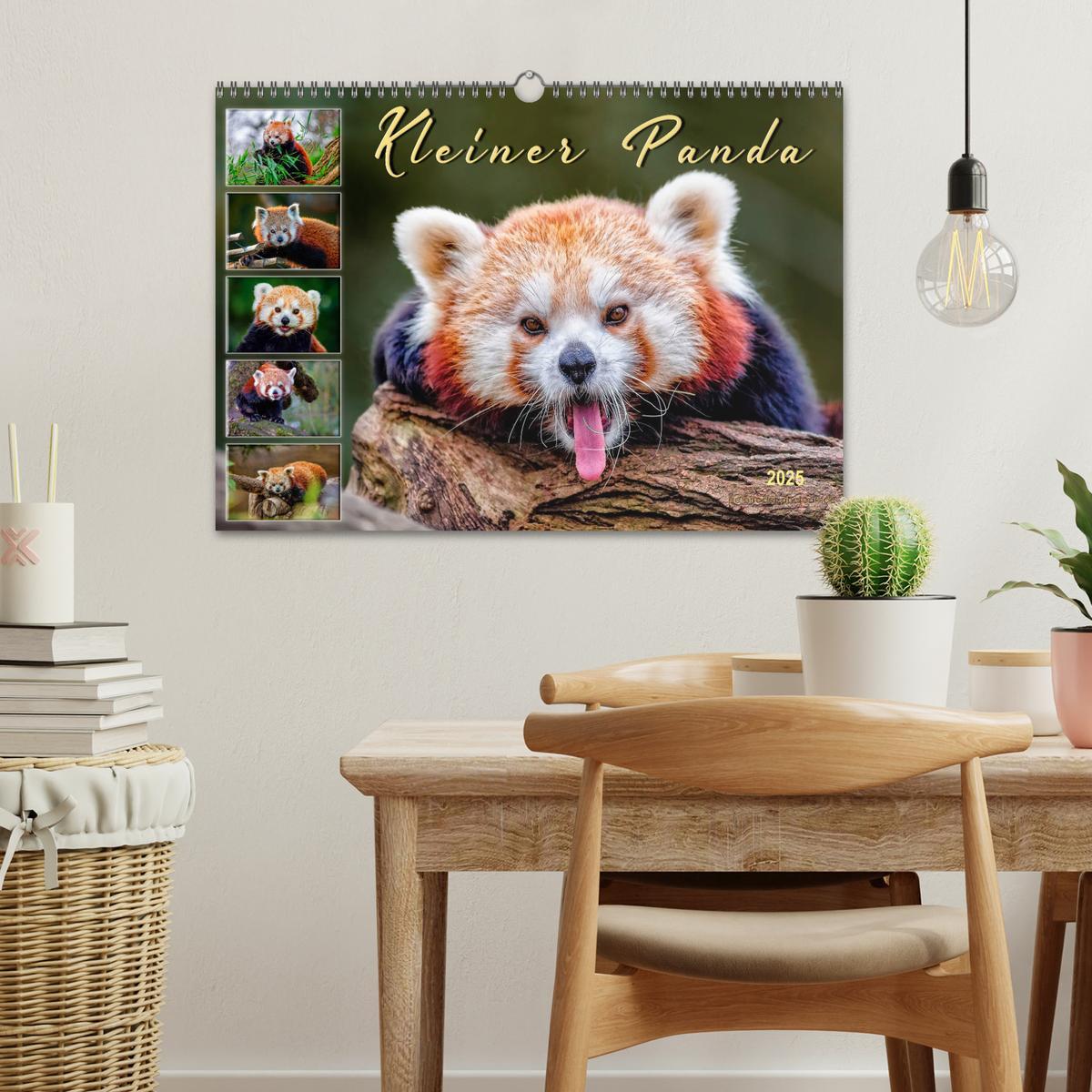 Bild: 9783435436965 | Kleiner Panda (Wandkalender 2025 DIN A3 quer), CALVENDO Monatskalender