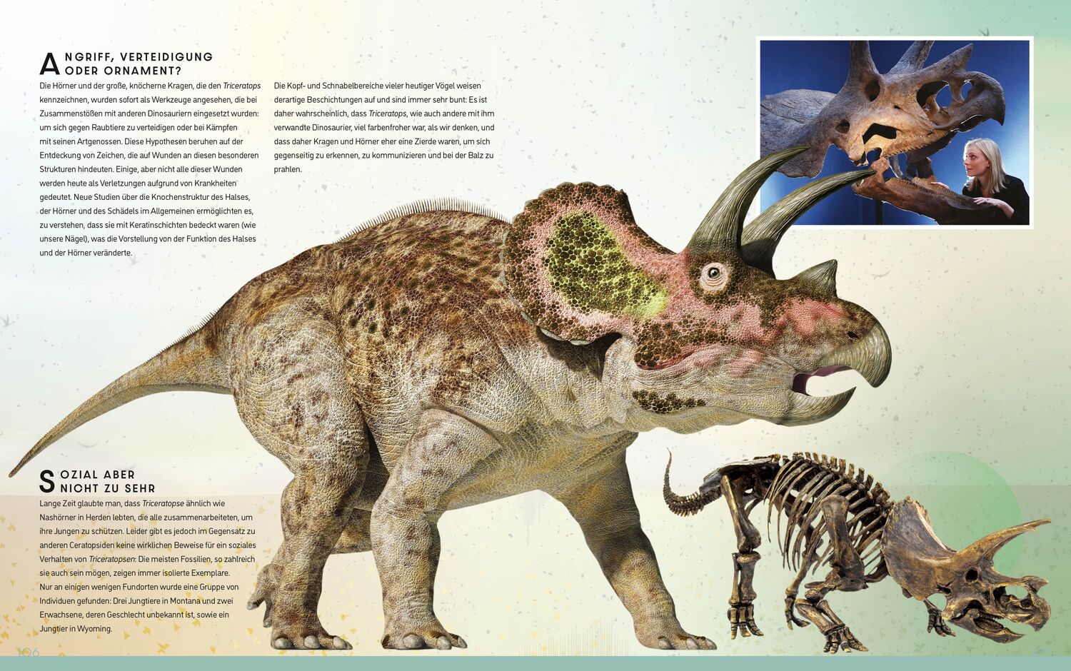 Bild: 9788863126259 | Das ultimative Buch der Dinosaurier. Die umfassendste Enzyklopädie...