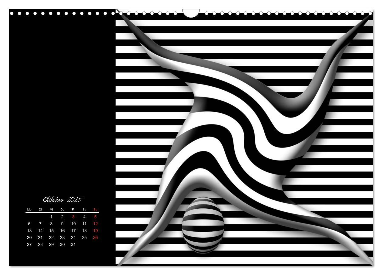 Bild: 9783435794898 | Schwarz trifft Weiß (Wandkalender 2025 DIN A3 quer), CALVENDO...