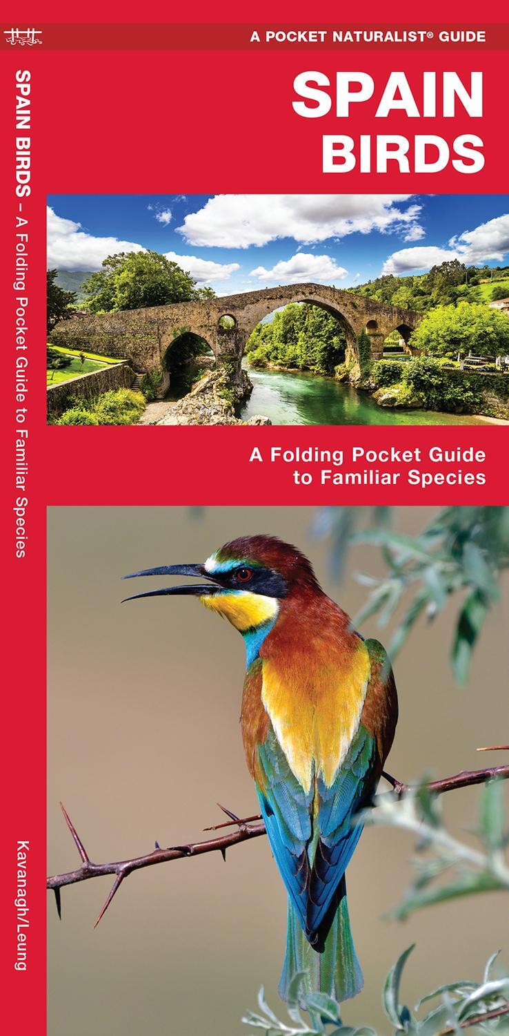Cover: 9781620053492 | Spain Birds | A Folding Pocket Guide to Familiar Species | Broschüre