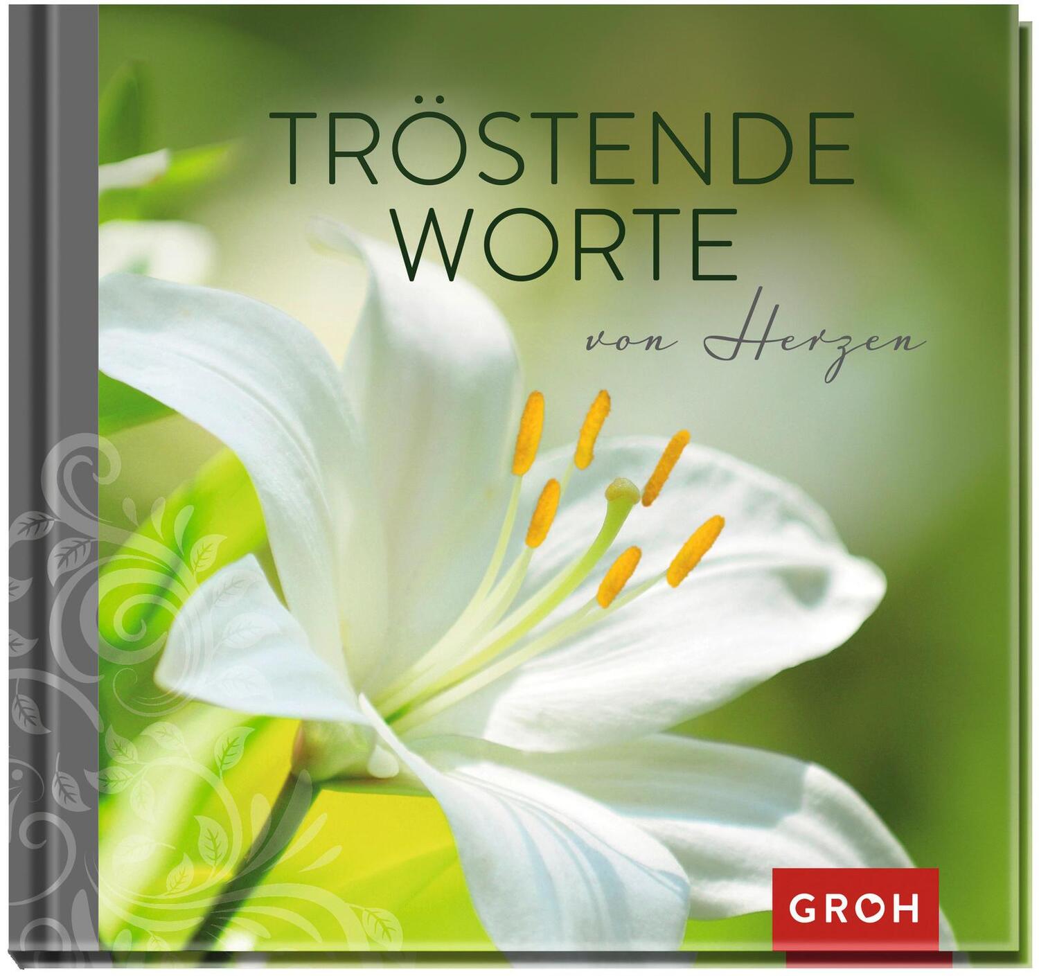 Cover: 9783848513833 | Tröstende Worte von Herzen | Joachim Groh | Buch | Hardcover | 48 S.