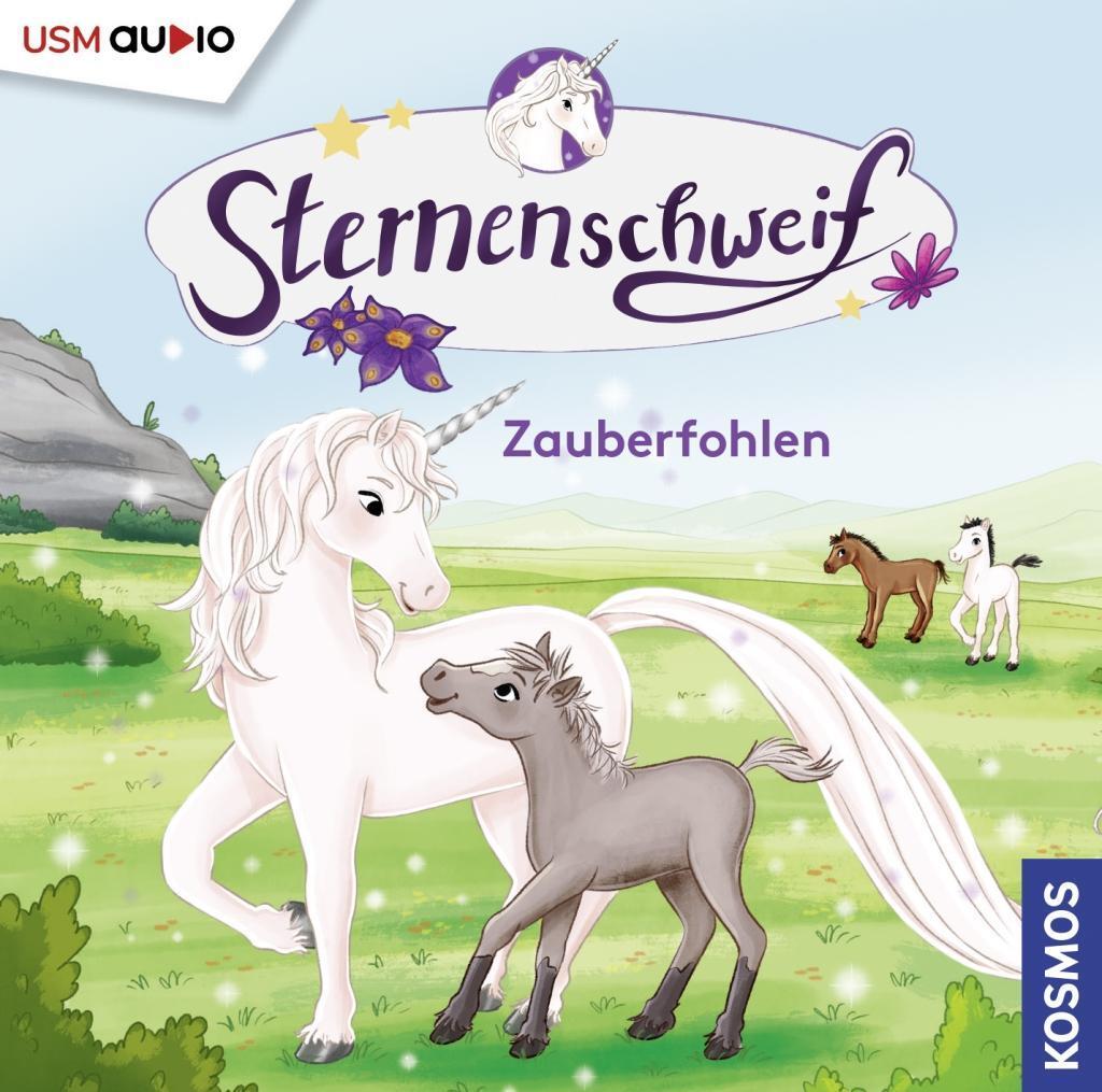 Cover: 9783803236593 | Sternenschweif (Folge 60): Zauberfohlen | Zauberfohlen | Linda Chapman