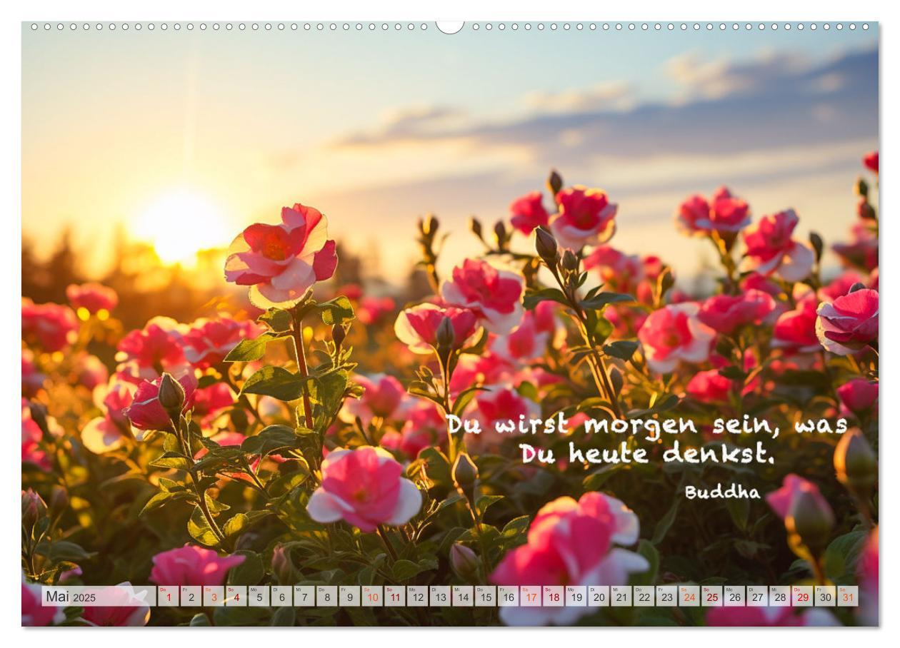 Bild: 9783383909566 | Meditation und innerer Frieden (Wandkalender 2025 DIN A2 quer),...