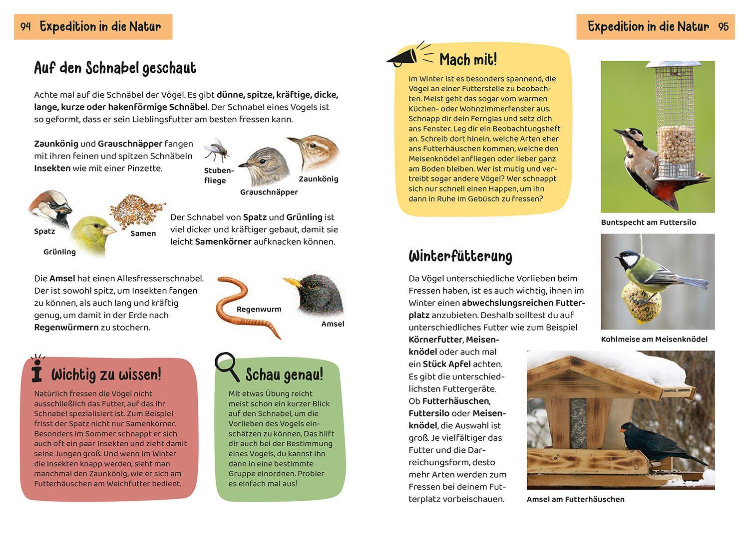 Bild: 9783440172445 | Was fliegt denn da? Kindernaturführer | Holger Haag | Taschenbuch