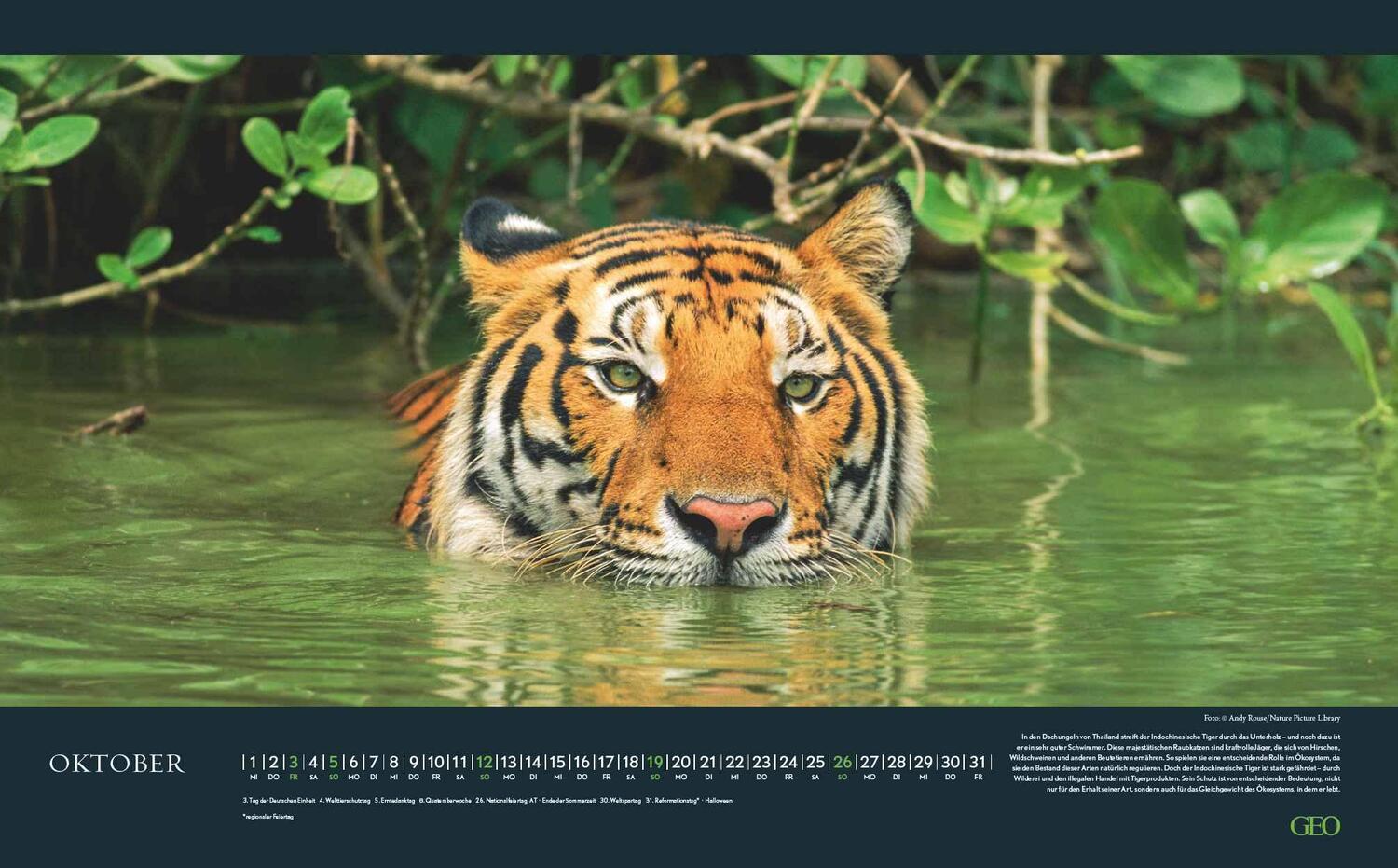 Bild: 4002725988645 | GEO Bedrohte Tierwelt 2025 - Wand-Kalender - Tier-Kalender -...